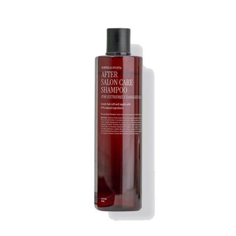 Відновлюючий шампунь для дуже пошкодженого волосся After Salon Care Shampoo (Extremely damaged) CURLY SHYLL 360 мл 8809732861833 фото