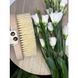 Щітка для сухого пілінгу Arosha Brush ARO900002-AKC000372 фото 3